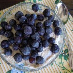 Blueberry Lemon Cheesecake Yogurt 012 Blueberry Lemon Cheesecake Yogurt 012