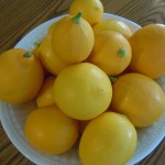 Food Gifts 028