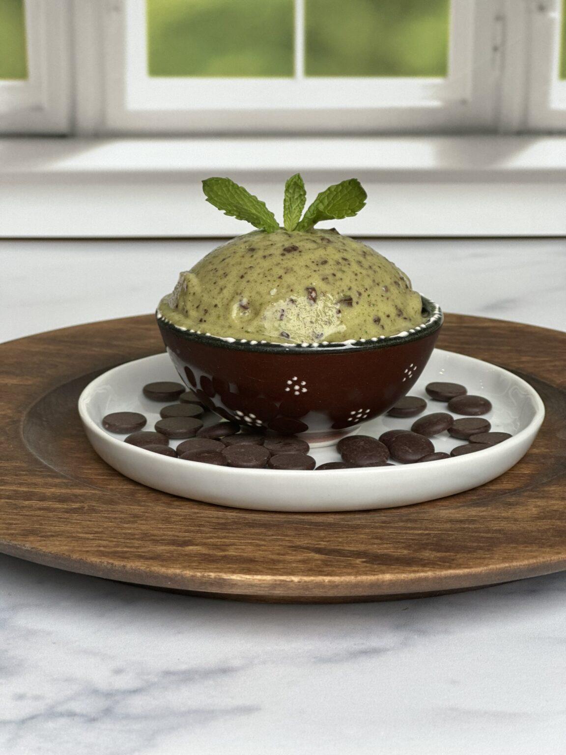 Vitamix nice cream Nutmeg Notebook