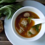 Wonton Soup Nutmeg Notebook