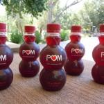 Pom-021