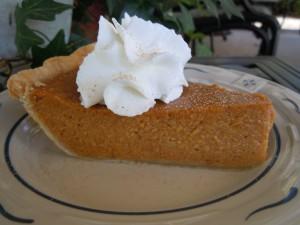 Thanksgiving 2010 048