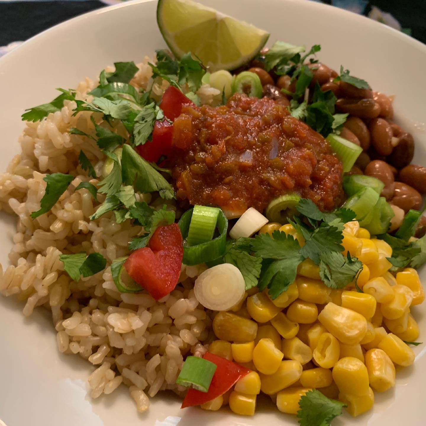 Quick & Easy Meals For Weight Loss – Plant Based - Nutmeg Notebook