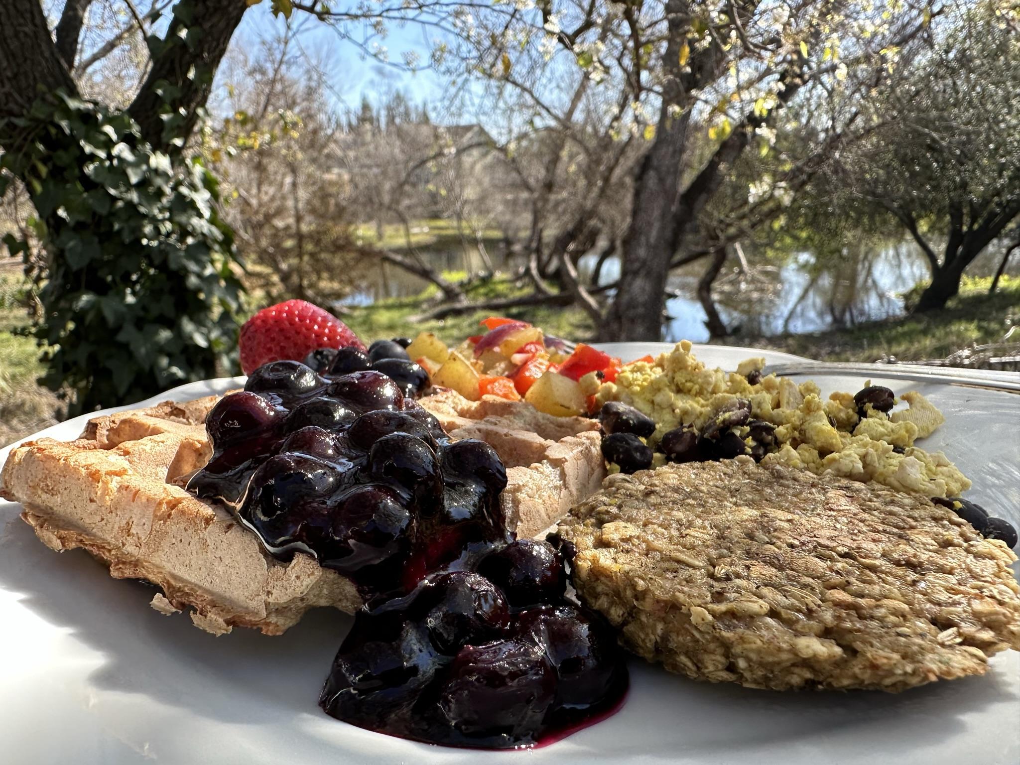 Blender Oat Waffles Gluten Free Dairy Free Nutmeg Notebook