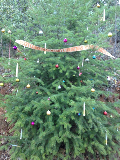 Hiking Trail Christmas Tree