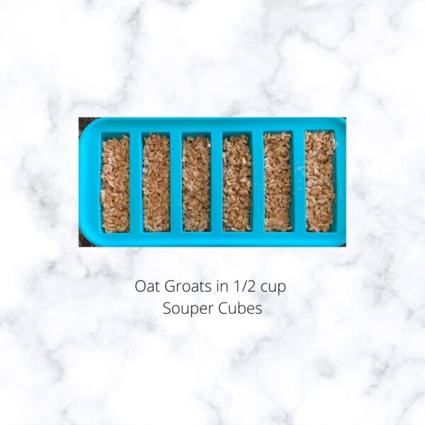 Plant Based Batch Cooking Nutmeg Notebook